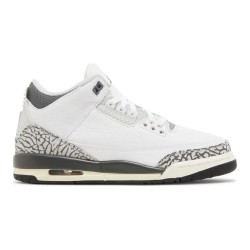 Jordan 3 Hide N Sneak