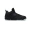 Kaws x Jordan 4 Black