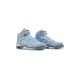 Jordan 5 Blue Bird Jordan 5 Blue Bird
