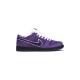 Concept x Nike SB Dunk Low Lobster’s Pack Concept x Nike SB Dunk Low Lobster’s Pack