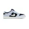 Dunk Low SB Aluminum