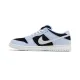 Dunk Low SB Aluminum Dunk Low SB Aluminum